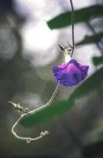 RrYYPAOIqEm.webp