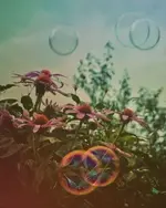 tw97L7.webp