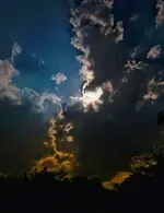 OCcOb9c945.webp
