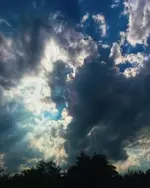 VnFewTJGG.webp