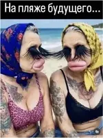 1787071232529.webp