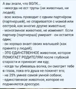 1787110669644.webp