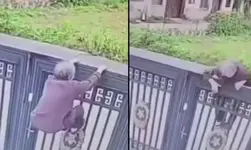 Пенсионерка сбежала из дома престарелых, перебравшись через забор высотой более двух метров.webp