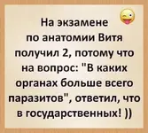 1787148561535.webp