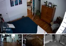 1787195944613.webp