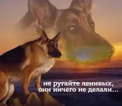 Всемирный день лени отмечается сегодня.webp