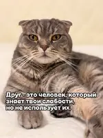 418187967.p.0.720.0.webp