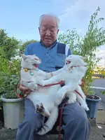 Японский дедушка завирусился в соцсетях благодаря своим кошкам, с которыми он фоткается в жив...webp