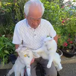 Японский дедушка завирусился в соцсетях благодаря своим кошкам, с которыми он фоткается в жив...webp