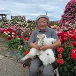 Японский дедушка завирусился в соцсетях благодаря своим кошкам, с которыми он фоткается в жив...webp