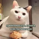 Россияне, которые скидывают мемы в рабочий чат, работают хуже всех.webp