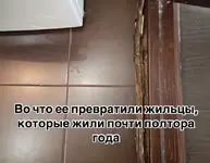 1787796590705.webp