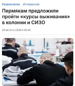 Курсы выживания в СИЗО и колониях запустили в России.webp