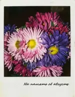 b7fb_1.webp