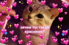 Сегодня Международный день красоты.webp