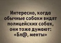1788971639113.webp