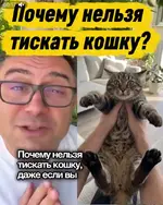 1790825587748.webp
