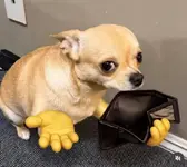 1790826243887.webp
