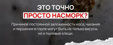 1790912090891.webp