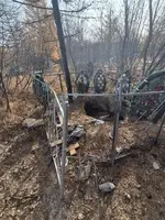 В Магадане медведь повадился разрывать могилы на кладбище и утаскивать тела..webp