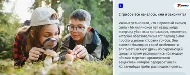 1791427282980.webp