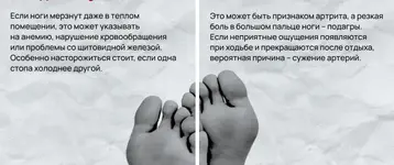 1791600822807.webp
