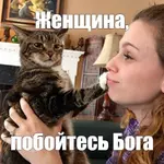Чрезмерная любовь к кошкам может закончиться глистами.webp