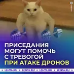 1791642506484.webp