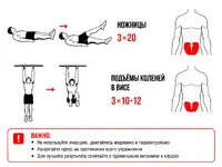 Качаем рельефный пресс за 30 дней — в сети собрали комплекс упражнений на все мышцы живота. 3.webp