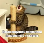 1791884372496.webp